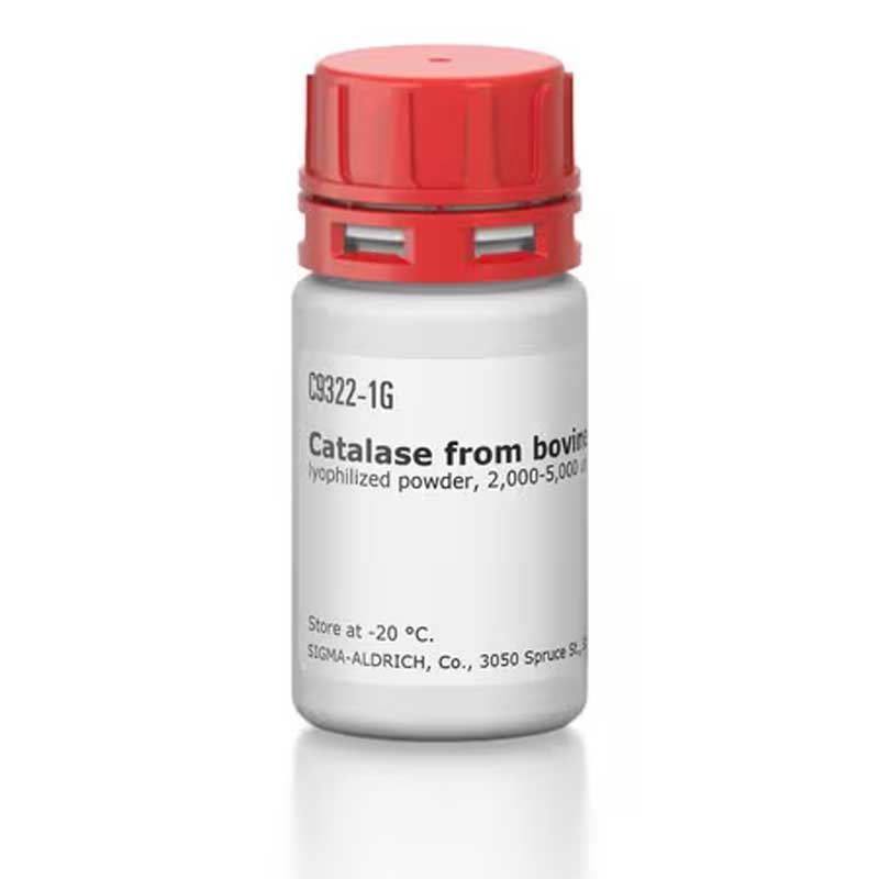 Catalase 1g Catalase 1g